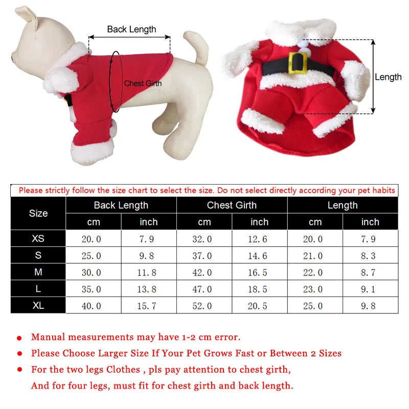 Santa Paws™ Christmas Dog Costume