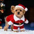 Santa Paws™ Christmas Dog Costume